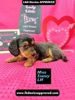 processed/d69fbc42-a368-44d3-8af7-50f12d49d295/listing/02479a36-386c-4fc3-8299-01780a37a36a/a57a183b-88e8-424c-9ed4-cfae6d69b3c4