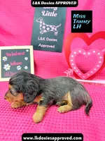 processed/d69fbc42-a368-44d3-8af7-50f12d49d295/listing/02479a36-386c-4fc3-8299-01780a37a36a/cf482739-cc30-4f93-bf75-066d020baa8b