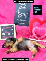 processed/d69fbc42-a368-44d3-8af7-50f12d49d295/listing/02479a36-386c-4fc3-8299-01780a37a36a/df69426a-54b8-4eaf-b738-44c0ee4083ed