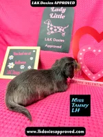 processed/d69fbc42-a368-44d3-8af7-50f12d49d295/listing/02479a36-386c-4fc3-8299-01780a37a36a/fa684ece-b5cd-4df9-90ea-716f17dc21e4