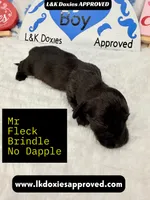 processed/d69fbc42-a368-44d3-8af7-50f12d49d295/listing/09c30f24-5404-4820-9255-ee085d75630e/2839091d-3ff9-414f-91b3-9bace3aa3c61