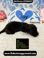 processed/d69fbc42-a368-44d3-8af7-50f12d49d295/listing/09c30f24-5404-4820-9255-ee085d75630e/34f6ed10-7f7a-4940-a031-a7c8d631e0a2