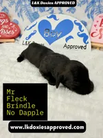 processed/d69fbc42-a368-44d3-8af7-50f12d49d295/listing/09c30f24-5404-4820-9255-ee085d75630e/5c412dd0-39a4-4d43-a457-39be5deefeff