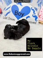 processed/d69fbc42-a368-44d3-8af7-50f12d49d295/listing/09c30f24-5404-4820-9255-ee085d75630e/794930ec-eaf1-43f3-b65f-cf235634efdd