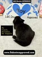 processed/d69fbc42-a368-44d3-8af7-50f12d49d295/listing/09c30f24-5404-4820-9255-ee085d75630e/814efa76-1667-4134-860e-0be324ea9ab1