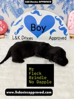 processed/d69fbc42-a368-44d3-8af7-50f12d49d295/listing/09c30f24-5404-4820-9255-ee085d75630e/ac6fd4cb-4750-485f-ba2c-330b3928be91