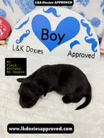 processed/d69fbc42-a368-44d3-8af7-50f12d49d295/listing/09c30f24-5404-4820-9255-ee085d75630e/d5ddf580-b5e5-42d8-9a58-c56ac9e8fc1a