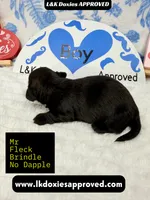 processed/d69fbc42-a368-44d3-8af7-50f12d49d295/listing/09c30f24-5404-4820-9255-ee085d75630e/f2a663ce-b99a-4a83-8346-b7a9396af8ac