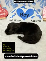 processed/d69fbc42-a368-44d3-8af7-50f12d49d295/listing/09c30f24-5404-4820-9255-ee085d75630e/f59dbaa3-64be-4e06-8c7f-a7fac80eff95