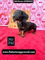 processed/d69fbc42-a368-44d3-8af7-50f12d49d295/listing/1555f154-cc03-4947-a2e3-9fb226e662f4/09878889-1ce7-43bd-a100-b32f62194bd0