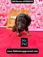 processed/d69fbc42-a368-44d3-8af7-50f12d49d295/listing/1555f154-cc03-4947-a2e3-9fb226e662f4/0c87d346-ae51-4f17-bb62-993d14419c26