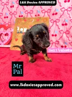 processed/d69fbc42-a368-44d3-8af7-50f12d49d295/listing/1555f154-cc03-4947-a2e3-9fb226e662f4/30295faf-1bb4-4024-8399-06b469701ab6