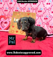 processed/d69fbc42-a368-44d3-8af7-50f12d49d295/listing/1555f154-cc03-4947-a2e3-9fb226e662f4/3c3add97-6610-421e-9919-e04136e5e6f0