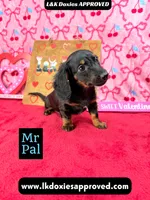 processed/d69fbc42-a368-44d3-8af7-50f12d49d295/listing/1555f154-cc03-4947-a2e3-9fb226e662f4/91d29a8b-2352-41b8-96af-73734a9901ef