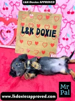 processed/d69fbc42-a368-44d3-8af7-50f12d49d295/listing/1555f154-cc03-4947-a2e3-9fb226e662f4/ae5afafa-f50f-4b13-a885-412173b2dded