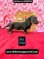 processed/d69fbc42-a368-44d3-8af7-50f12d49d295/listing/1555f154-cc03-4947-a2e3-9fb226e662f4/fd9986ce-5c5a-4734-9b21-3b66ddb55600