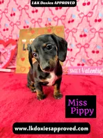 processed/d69fbc42-a368-44d3-8af7-50f12d49d295/listing/6af201f1-c356-4819-80ff-809d2672e969/2404bc71-23a9-45b6-aea2-194fcc5b4e97