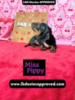 processed/d69fbc42-a368-44d3-8af7-50f12d49d295/listing/6af201f1-c356-4819-80ff-809d2672e969/2457feec-406e-4e17-a136-2073e2a0d095