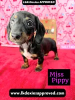 processed/d69fbc42-a368-44d3-8af7-50f12d49d295/listing/6af201f1-c356-4819-80ff-809d2672e969/830b3997-27f3-427c-93f6-7f4e320c4238