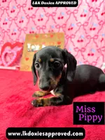 processed/d69fbc42-a368-44d3-8af7-50f12d49d295/listing/6af201f1-c356-4819-80ff-809d2672e969/8ff94c2a-cd8d-4d01-9f66-998cdfe9204a