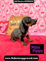 processed/d69fbc42-a368-44d3-8af7-50f12d49d295/listing/6af201f1-c356-4819-80ff-809d2672e969/b72cc970-252f-41bd-86f8-d3c3880eb31f