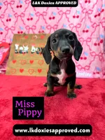 processed/d69fbc42-a368-44d3-8af7-50f12d49d295/listing/6af201f1-c356-4819-80ff-809d2672e969/b76419b7-e5e6-4355-8fc2-94c2d1ee7f9a