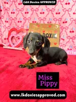 processed/d69fbc42-a368-44d3-8af7-50f12d49d295/listing/6af201f1-c356-4819-80ff-809d2672e969/b88933e2-2bfa-4f16-bf80-e38d3e46615c