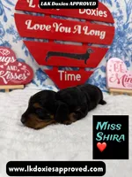 processed/d69fbc42-a368-44d3-8af7-50f12d49d295/listing/77616ac7-3833-40bd-a116-7bf1f148c0e7/287e93cc-c361-4b2b-a2eb-a97d117c4845