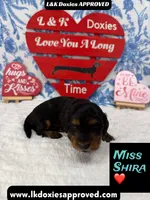 processed/d69fbc42-a368-44d3-8af7-50f12d49d295/listing/77616ac7-3833-40bd-a116-7bf1f148c0e7/3e39b53c-031b-47e2-aacb-8a458102f0e5