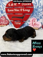 processed/d69fbc42-a368-44d3-8af7-50f12d49d295/listing/77616ac7-3833-40bd-a116-7bf1f148c0e7/5192ce6e-c671-4da8-88c2-7ca86ef168f5