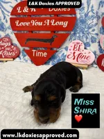 processed/d69fbc42-a368-44d3-8af7-50f12d49d295/listing/77616ac7-3833-40bd-a116-7bf1f148c0e7/62cee759-e3ad-4ec3-9beb-1aa5450f2cdd