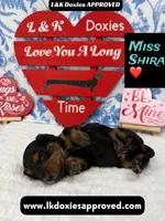 processed/d69fbc42-a368-44d3-8af7-50f12d49d295/listing/77616ac7-3833-40bd-a116-7bf1f148c0e7/637e24cf-97ba-4220-85bc-764ddd0737cf