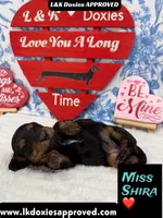 processed/d69fbc42-a368-44d3-8af7-50f12d49d295/listing/77616ac7-3833-40bd-a116-7bf1f148c0e7/bf124a5f-b963-4375-bec9-aa5529e5616e