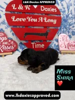 processed/d69fbc42-a368-44d3-8af7-50f12d49d295/listing/77616ac7-3833-40bd-a116-7bf1f148c0e7/e0963209-1673-46ca-be43-372e816ca52f