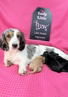 processed/d69fbc42-a368-44d3-8af7-50f12d49d295/listing/77616ac7-3833-40bd-a116-7bf1f148c0e7/ece8d8a7-4a49-4259-8c65-34c0a613bd1b