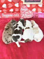 processed/d69fbc42-a368-44d3-8af7-50f12d49d295/listing/8cea7083-c0a2-4206-9a9d-3d4caf9de241/0f8fcf31-dc4f-41f6-b5be-3c7918dbd164