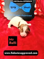 processed/d69fbc42-a368-44d3-8af7-50f12d49d295/listing/8cea7083-c0a2-4206-9a9d-3d4caf9de241/2a05b6b8-7f40-4e8a-9189-67ee2637f15e