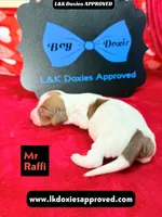 processed/d69fbc42-a368-44d3-8af7-50f12d49d295/listing/8cea7083-c0a2-4206-9a9d-3d4caf9de241/2ee36e4c-1a8f-4385-8471-0f40135a2dc1