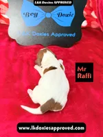 processed/d69fbc42-a368-44d3-8af7-50f12d49d295/listing/8cea7083-c0a2-4206-9a9d-3d4caf9de241/570a1f13-fdf1-4f39-b8f6-73633d86e572