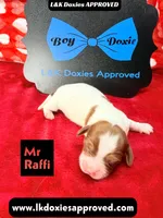 processed/d69fbc42-a368-44d3-8af7-50f12d49d295/listing/8cea7083-c0a2-4206-9a9d-3d4caf9de241/5dd818c6-d441-4821-8d5e-bf45890b69f5