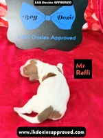 processed/d69fbc42-a368-44d3-8af7-50f12d49d295/listing/8cea7083-c0a2-4206-9a9d-3d4caf9de241/72de5dfa-01ae-40de-b3e9-485019d2f697