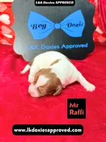 processed/d69fbc42-a368-44d3-8af7-50f12d49d295/listing/8cea7083-c0a2-4206-9a9d-3d4caf9de241/ad084d73-702b-40c8-8100-5d2df2bfe6e0