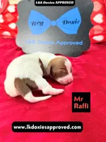 processed/d69fbc42-a368-44d3-8af7-50f12d49d295/listing/8cea7083-c0a2-4206-9a9d-3d4caf9de241/b38dcf9d-03e2-4c3f-bdeb-e9feabb75933