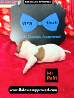 processed/d69fbc42-a368-44d3-8af7-50f12d49d295/listing/8cea7083-c0a2-4206-9a9d-3d4caf9de241/f8755404-f141-4616-88ba-b52d99a37674