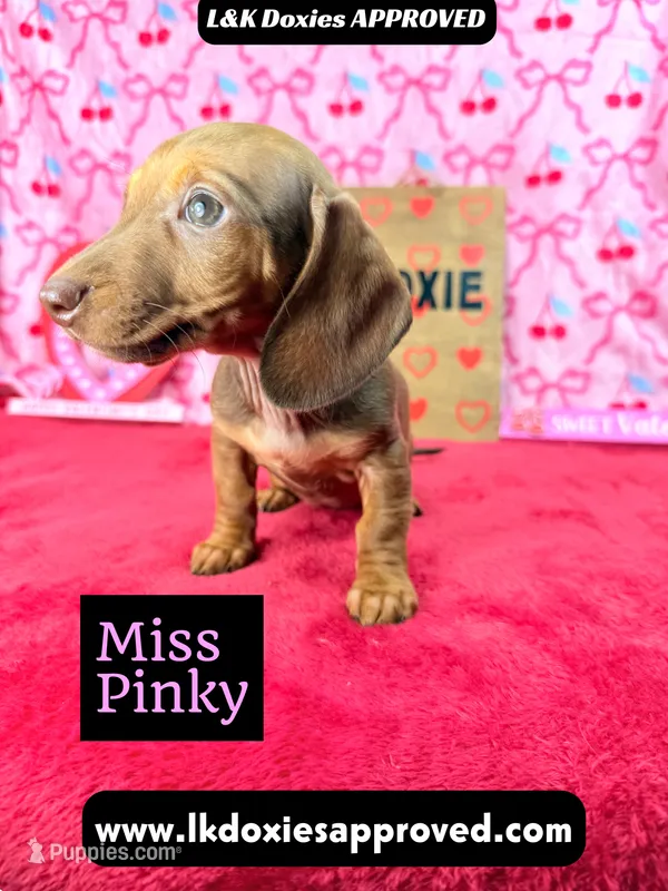 Miss Pinky