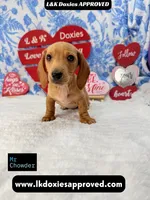 processed/d69fbc42-a368-44d3-8af7-50f12d49d295/listing/9faa0b7c-4ad0-46be-986b-aeb799ba2c97/0cb8571a-9701-48c8-82d7-f098e5b02850