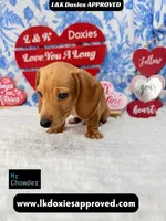 processed/d69fbc42-a368-44d3-8af7-50f12d49d295/listing/9faa0b7c-4ad0-46be-986b-aeb799ba2c97/49e90fa2-f901-42ea-b51b-d3fb642ae898