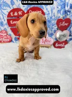 processed/d69fbc42-a368-44d3-8af7-50f12d49d295/listing/9faa0b7c-4ad0-46be-986b-aeb799ba2c97/69f83ad7-4616-48ea-a58f-8c13ab8c7ff2