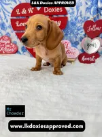 processed/d69fbc42-a368-44d3-8af7-50f12d49d295/listing/9faa0b7c-4ad0-46be-986b-aeb799ba2c97/7ac0fa5b-af8d-4770-98ec-fb323cfc576b