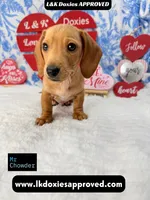 processed/d69fbc42-a368-44d3-8af7-50f12d49d295/listing/9faa0b7c-4ad0-46be-986b-aeb799ba2c97/83d20c91-1907-429b-9b45-e59886fd7218